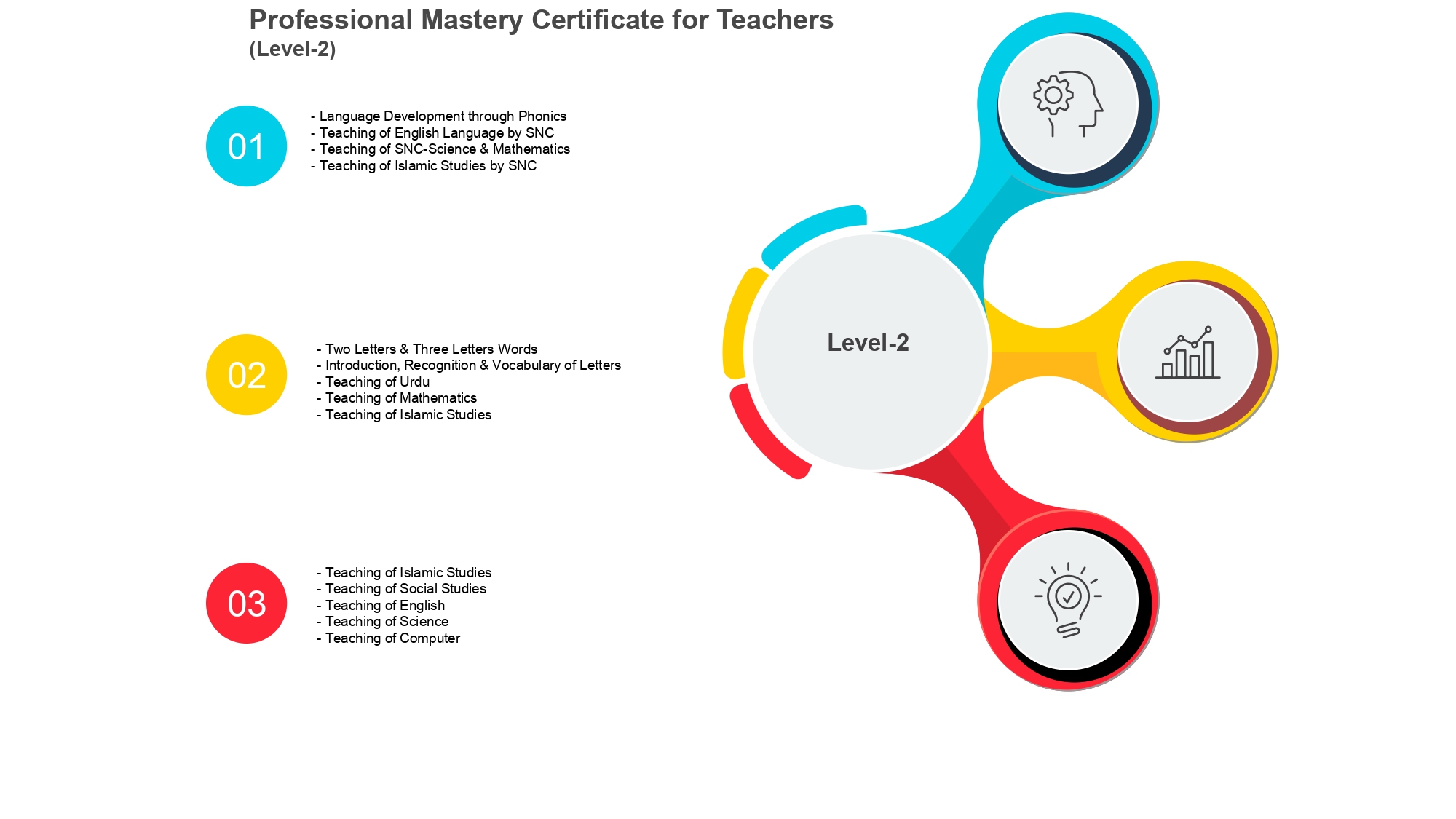 Professional Mastery Certificate (Level-2)