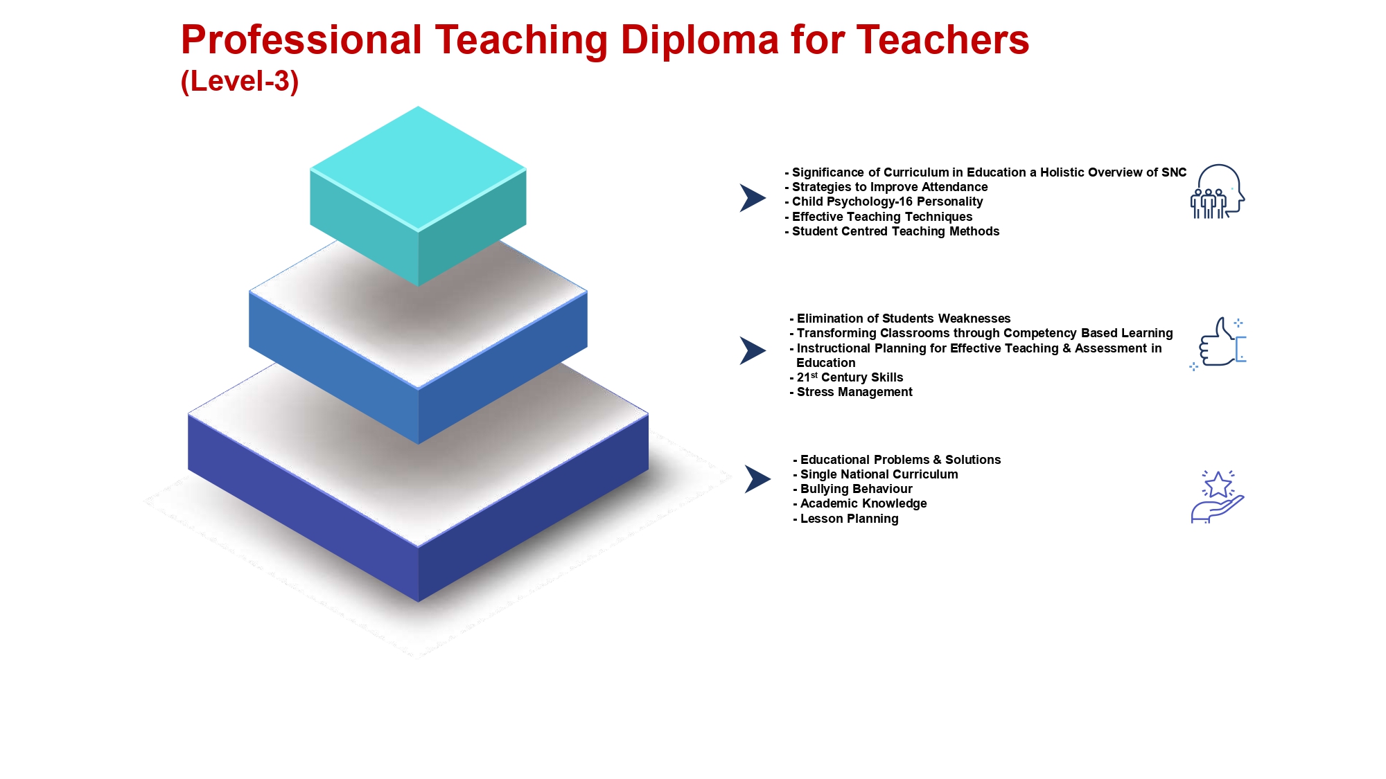 Professional Teaching Diploma (Level-3)